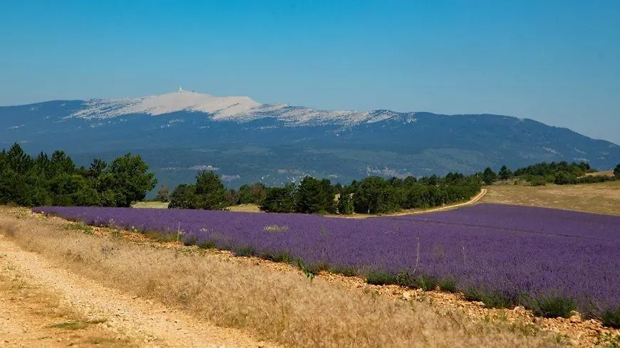 Holiday home La Feniere Villa Sault-de-Vaucluse