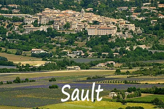 La Feniere Villa Sault-de-Vaucluse Holiday home